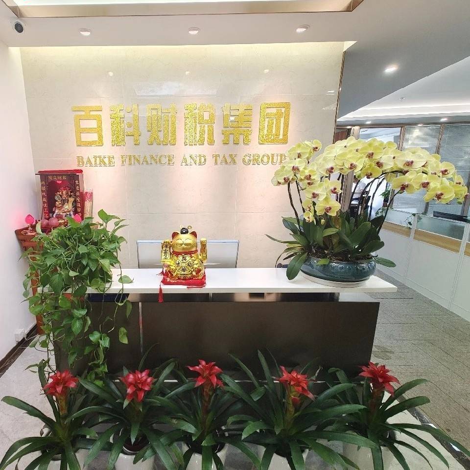 百科财税集团